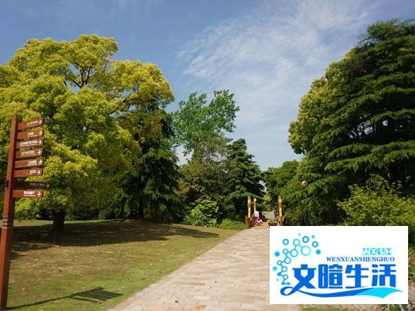 滨江森林公园游玩攻略