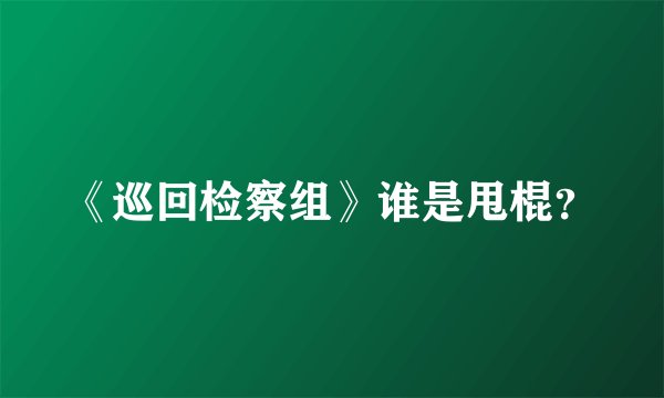 《巡回检察组》谁是甩棍？
