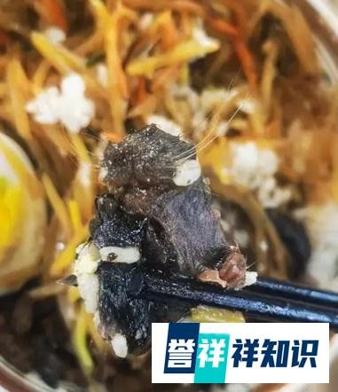 高校食堂疑似吃出老鼠头，异物上全是毛，店家称这是牛肉