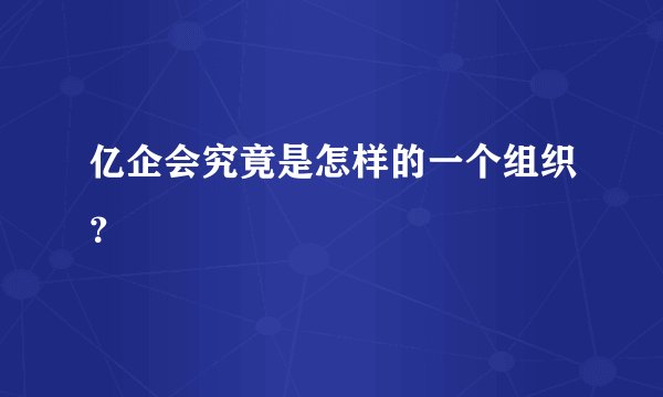 亿企会究竟是怎样的一个组织？