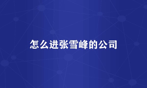 怎么进张雪峰的公司