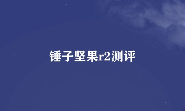 锤子坚果r2测评