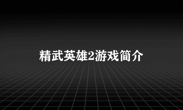 精武英雄2游戏简介