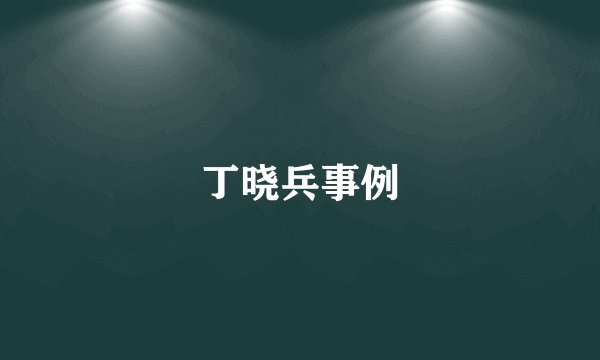 丁晓兵事例