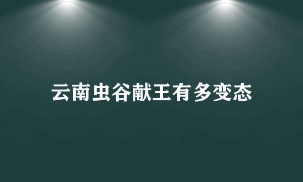 云南虫谷献王有多变态