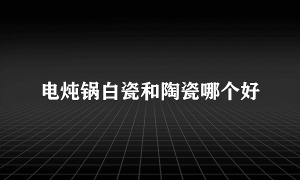 电炖锅白瓷和陶瓷哪个好