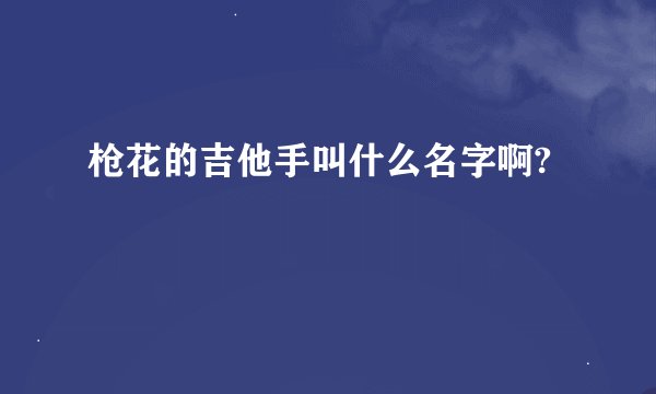 枪花的吉他手叫什么名字啊?