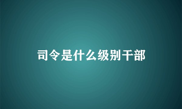 司令是什么级别干部