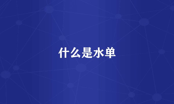 什么是水单