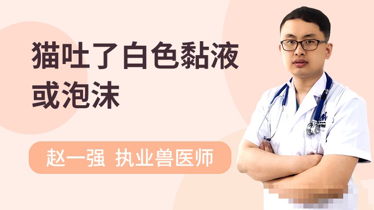 猫娘身体流白粘液的原因与解决方法