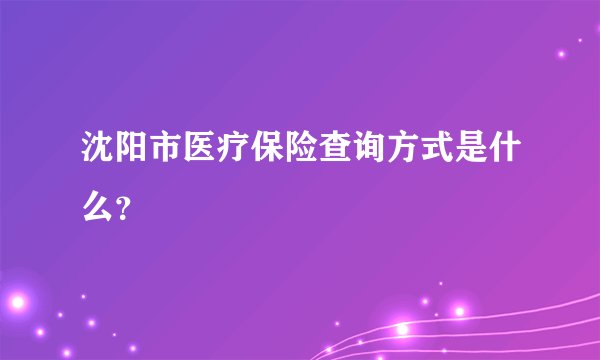 沈阳市医疗保险查询方式是什么？