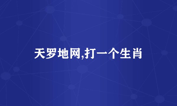 天罗地网,打一个生肖