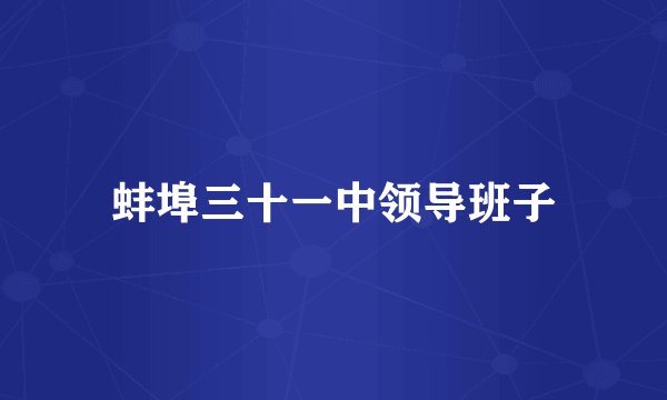 蚌埠三十一中领导班子
