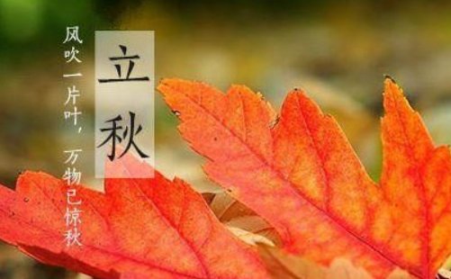 怎么辨别早立秋和晚立秋？