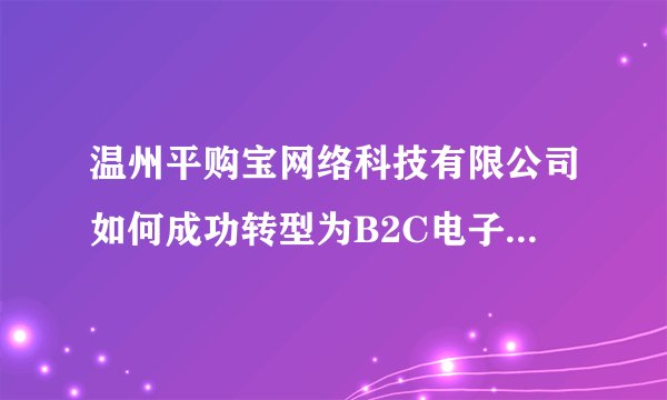温州平购宝网络科技有限公司如何成功转型为B2C电子商务平台？