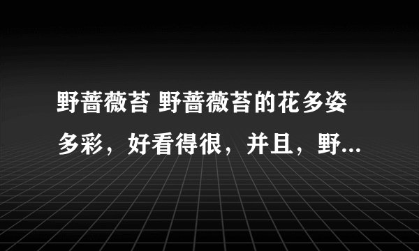 野蔷薇苔 野蔷薇苔的花多姿多彩，好看得很，并且，野蔷薇苔也是很好吃的。我们童年的春天，在原野上，见到