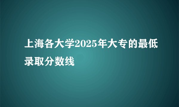 上海各大学2025年大专的最低录取分数线