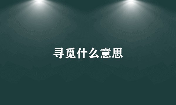 寻觅什么意思