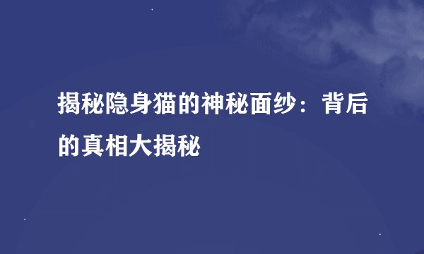 揭秘隐身猫的神秘面纱：背后的真相大揭秘