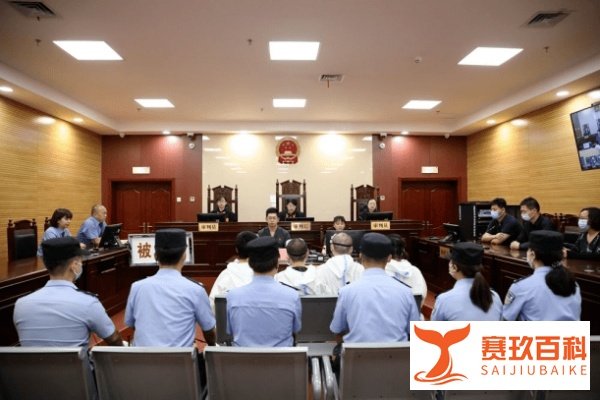 袁冰妍公司偷漏税被罚97万，公司偷漏税法人会被判刑吗？