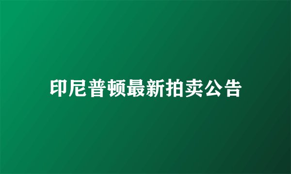 印尼普顿最新拍卖公告