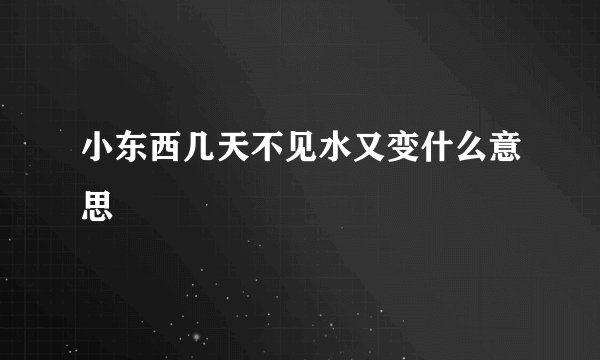 小东西几天不见水又变什么意思