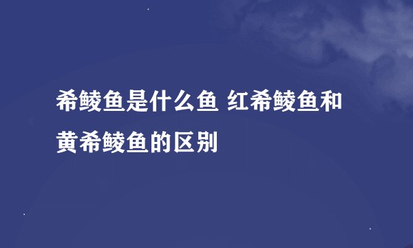 希鲮鱼是什么鱼 红希鲮鱼和黄希鲮鱼的区别