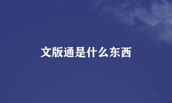 文版通是什么东西