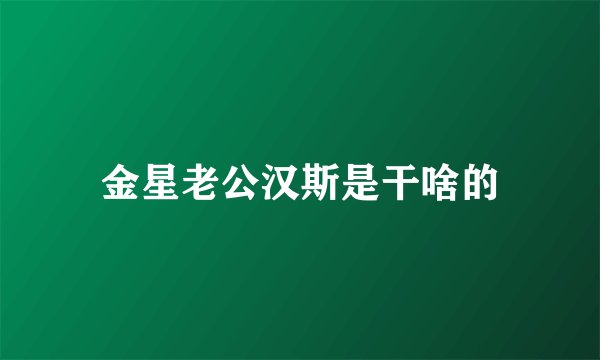 金星老公汉斯是干啥的