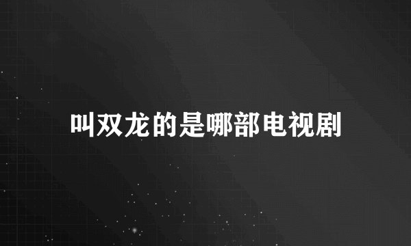 叫双龙的是哪部电视剧