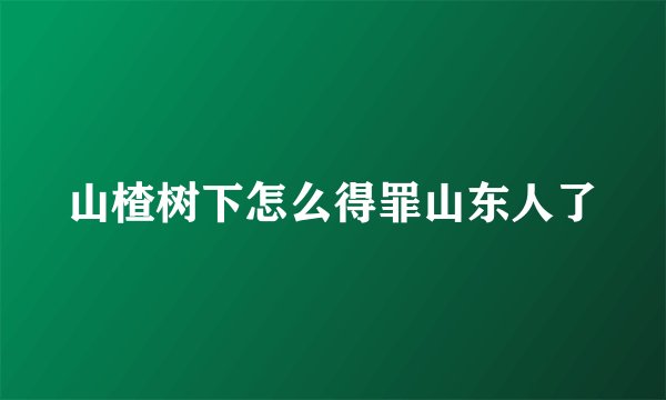 山楂树下怎么得罪山东人了
