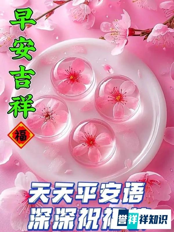 早上好祝福创意表情包图片带字带问候语，今日最新早上好问候语精