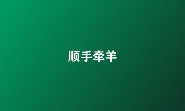 顺手牵羊