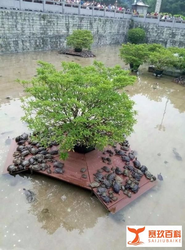 凤凰山旅游攻略