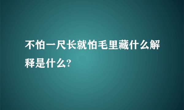 不怕一尺长就怕毛里藏什么解释是什么?