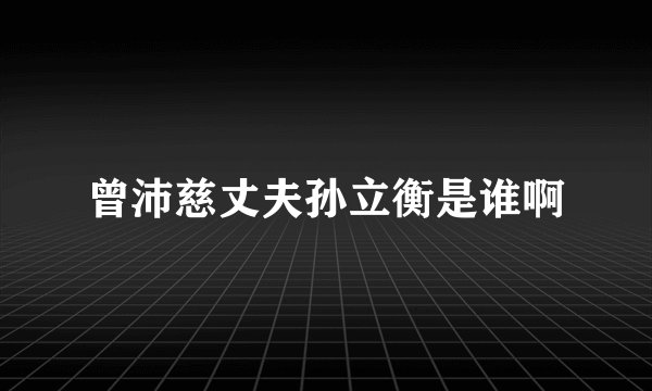 曾沛慈丈夫孙立衡是谁啊