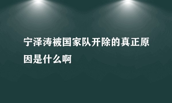 宁泽涛被国家队开除的真正原因是什么啊