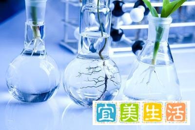 最牛90后美女，28岁成为电子科技大学的副院长、博导