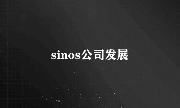 sinos公司发展