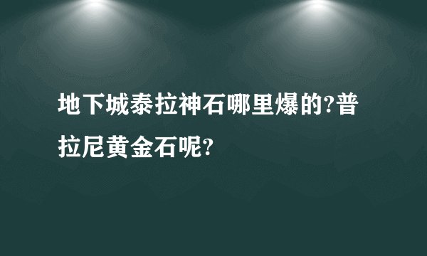 地下城泰拉神石哪里爆的?普拉尼黄金石呢?