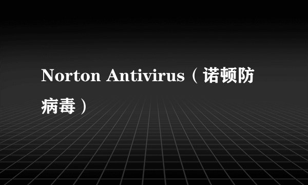 Norton Antivirus（诺顿防病毒）