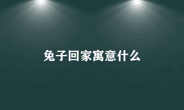 兔子回家寓意什么