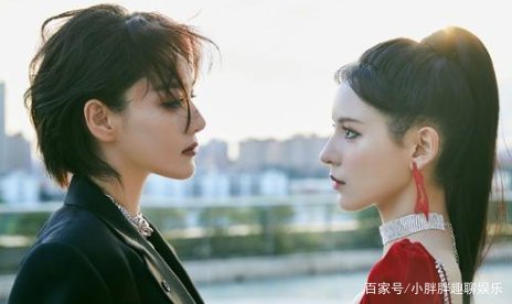 江疏影错认吴刚,委婉道歉,究竟发生了什么事?