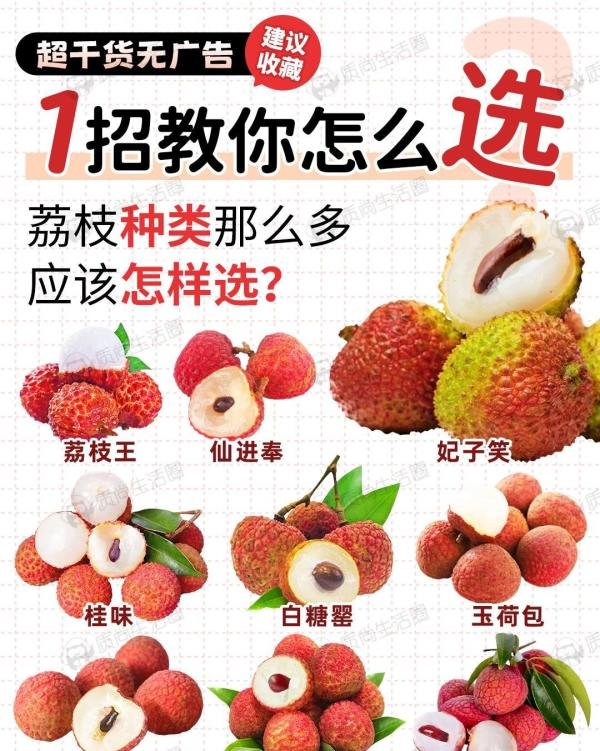小核荔枝，认准这几个品种