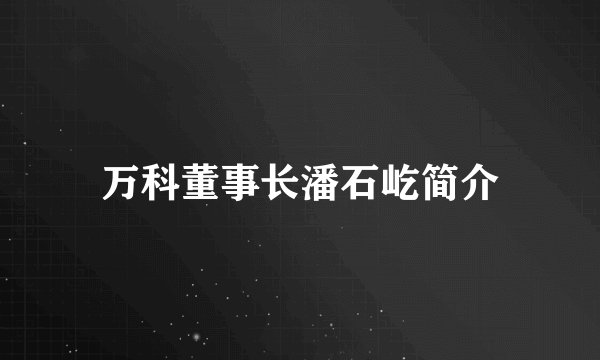 万科董事长潘石屹简介