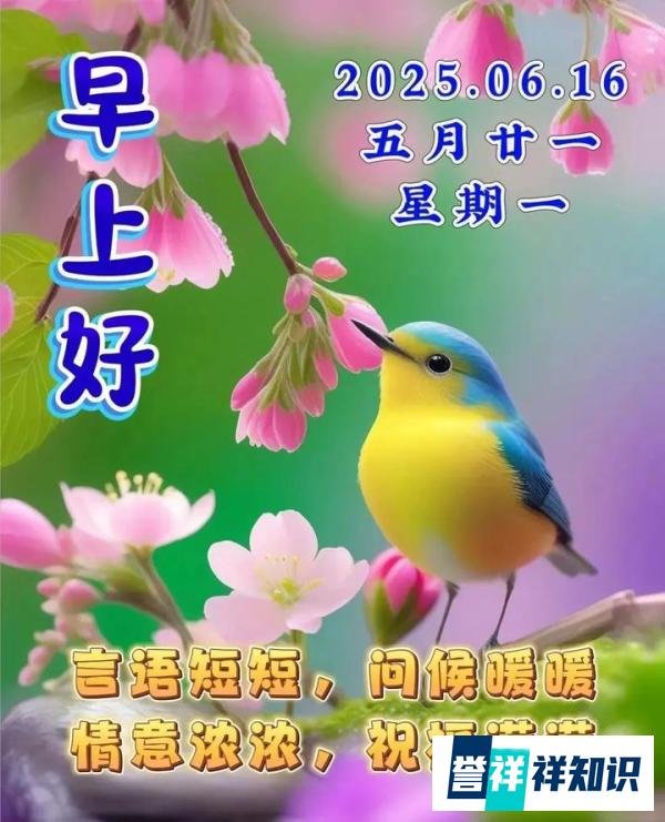 早上好祝福创意表情包图片带字带问候语，今日最新早上好问候语精