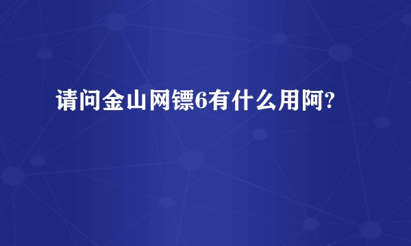 请问金山网镖6有什么用阿?