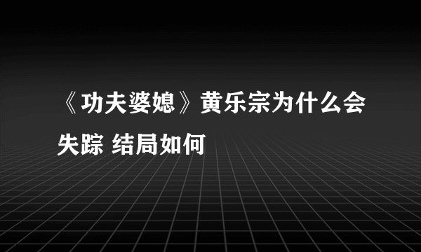 《功夫婆媳》黄乐宗为什么会失踪 结局如何