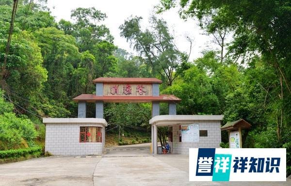 中山市逍遥谷里并不逍遥，谁去谁知道