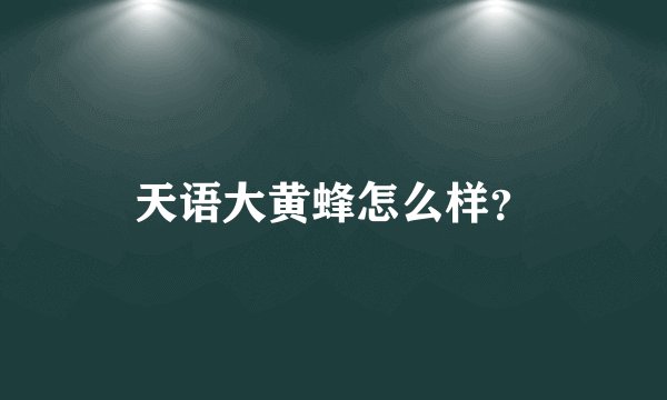 天语大黄蜂怎么样?
